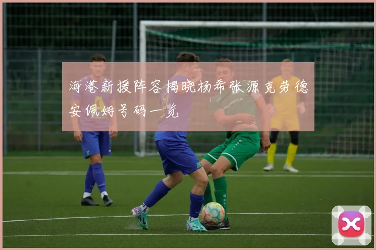 海港新援阵容揭晓杨希张源克劳德安佩姆号码一览