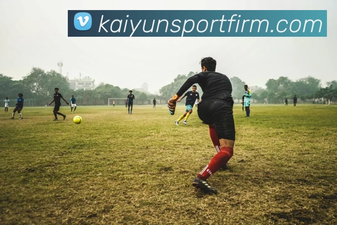 开云体育平台生态图